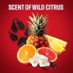 ⁦Old Spice Wolfthorn جل استحمام للرجال – 400 مل | Old Spice Wolfthorn Men’s Shower Gel 400ml⁩ - الصورة ⁦4⁩